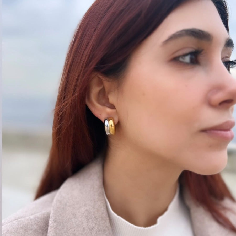 Double Hoops Earrings