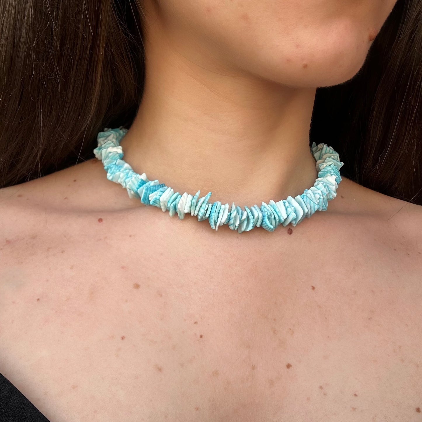 Blue Stone Chocker Necklace
