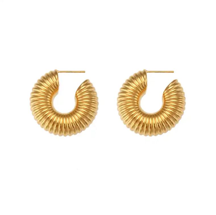 Snail Hoops Earrings